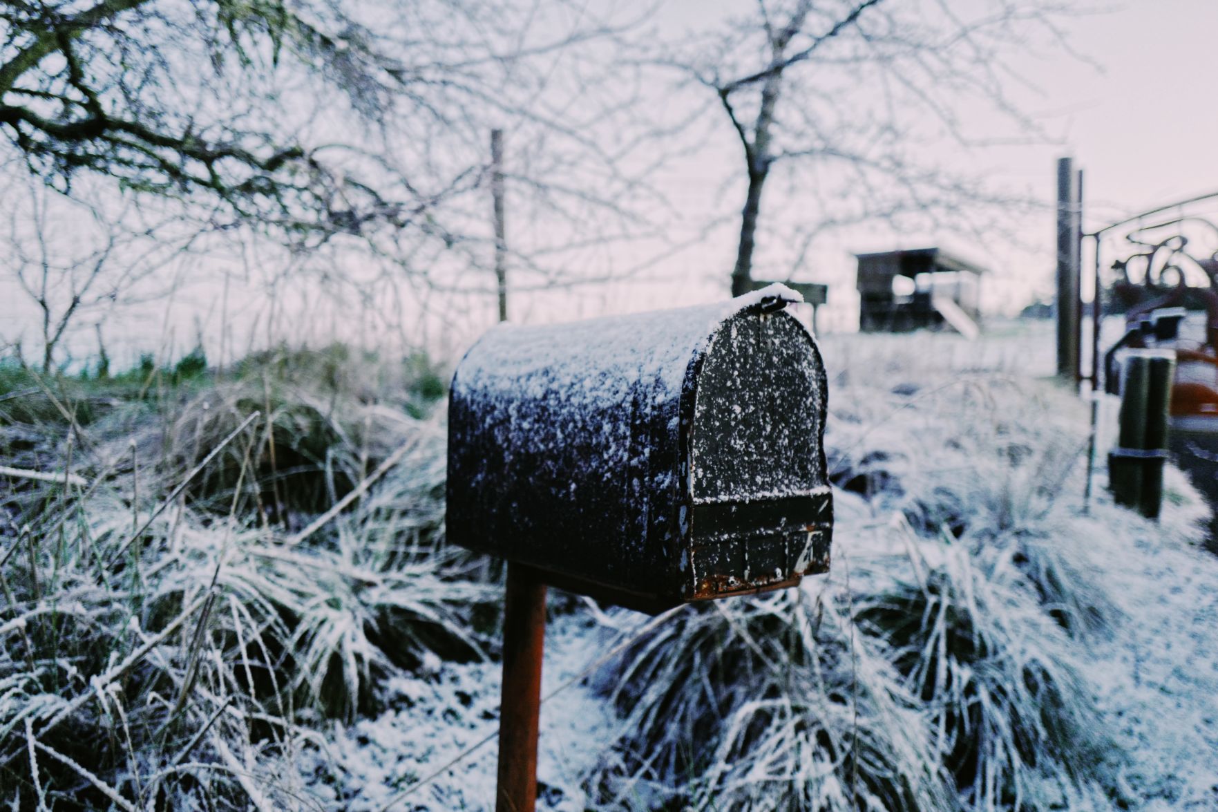 From Our Readers: Snow in Napa Valley